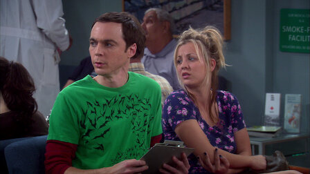 The Big Bang Theory Netflix