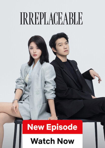 Irreplaceable on Netflix USA